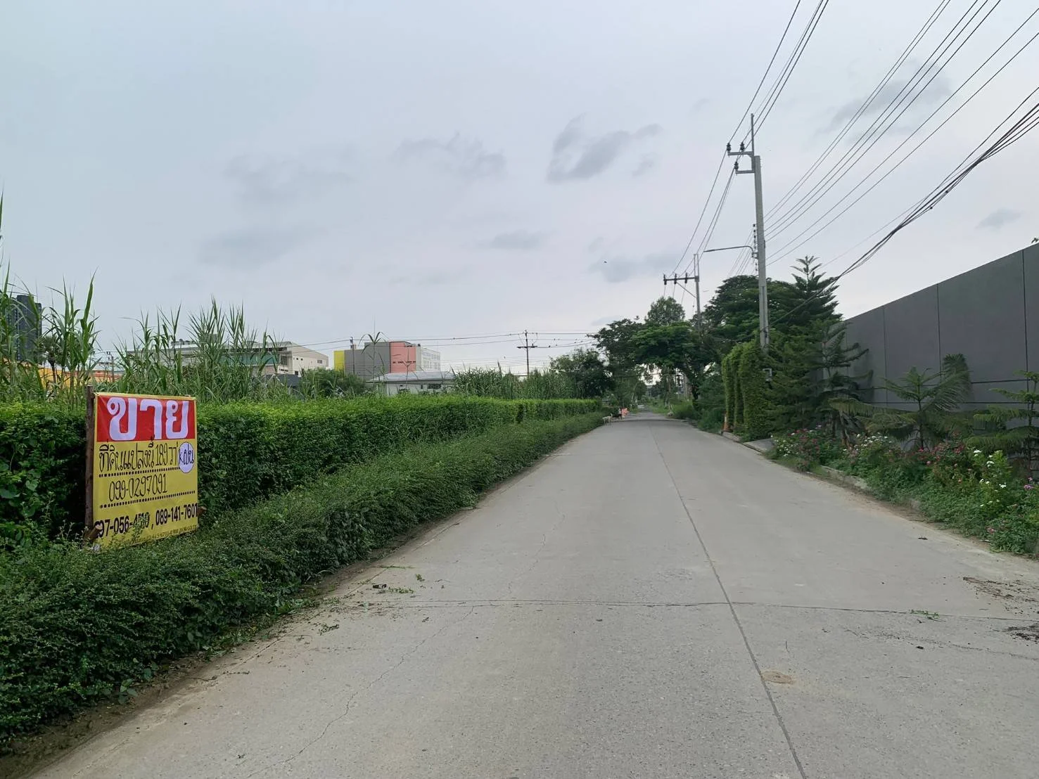 ขายที่ดินบางแก้ว บางนา กม.7 สวยมากๆ ทำเลดี 189 ตร.วา ใกล้เมกาบางนา รูปแปลงสี่เหลี่ยมสวย - image 2