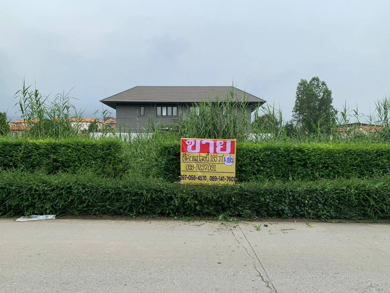 ขายที่ดินบางแก้ว บางนา กม.7 สวยมากๆ ทำเลดี 189 ตร.วา ใกล้เมกาบางนา รูปแปลงสี่เหลี่ยมสวย