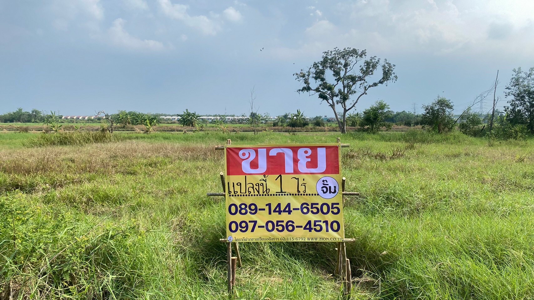 ขายด่วน ที่ดิน 1 ไร่ ซอยพัฒนา เทศบาล 19 ถนนรัวสิต-นครนายก