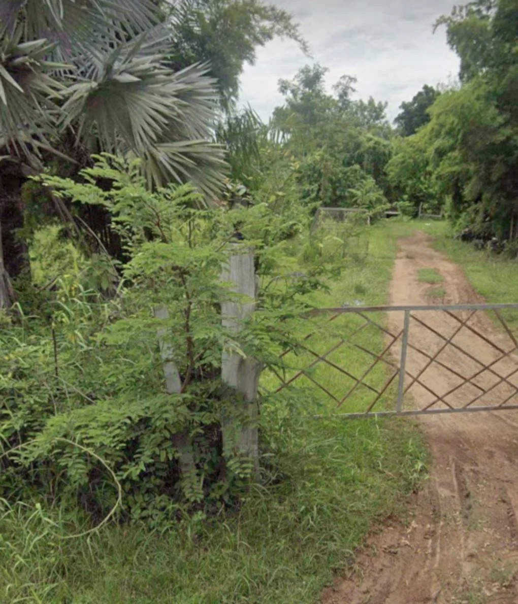 ขายที่ดินพร้อมบ้านสวน ใกล้สถานที่ท่องเที่ยวแพหนองกวก อ.เมือง จ.หนองคาย - image 2