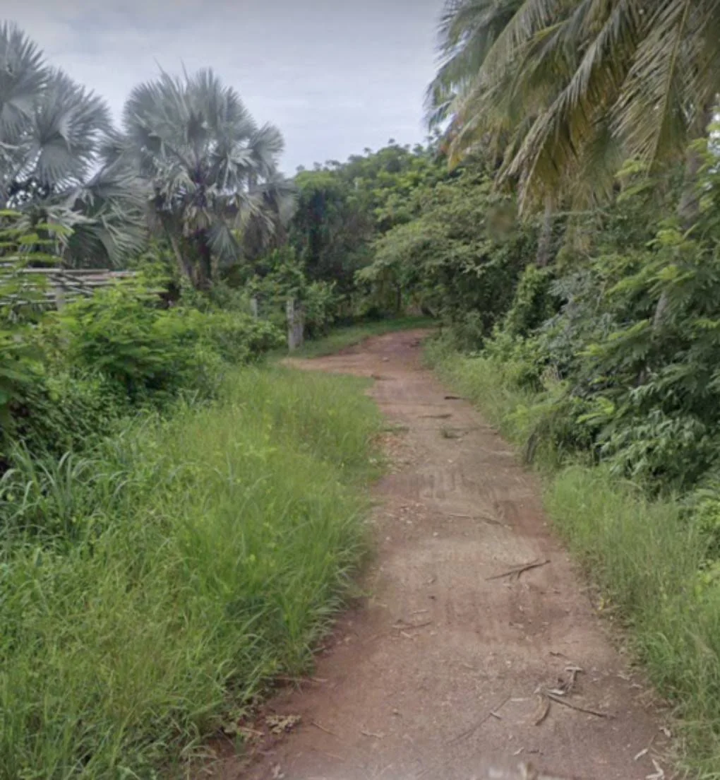 ขายที่ดินพร้อมบ้านสวน ใกล้สถานที่ท่องเที่ยวแพหนองกวก อ.เมือง จ.หนองคาย - image 4