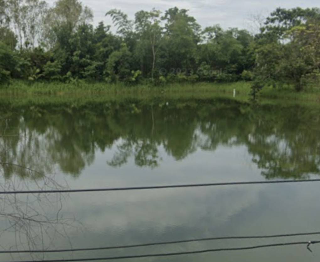 ขายที่ดินพร้อมบ้านสวน ใกล้สถานที่ท่องเที่ยวแพหนองกวก อ.เมือง จ.หนองคาย - image 5