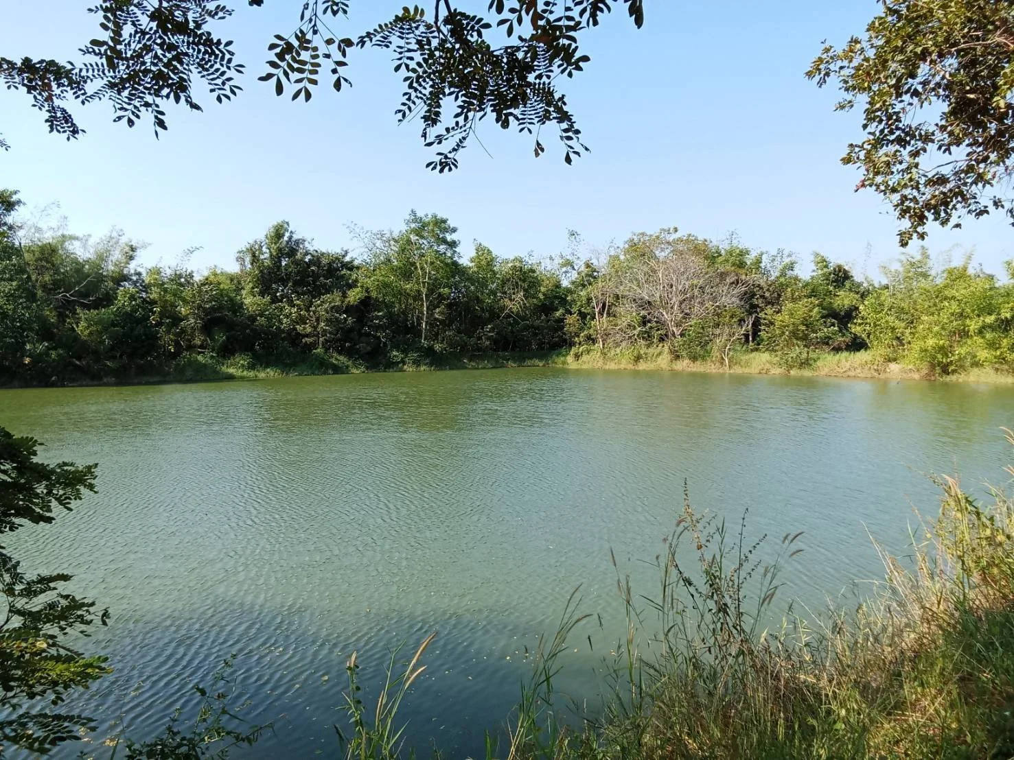 ขายที่ดินพร้อมบ้านสวน ใกล้สถานที่ท่องเที่ยวแพหนองกวก อ.เมือง จ.หนองคาย - image 6