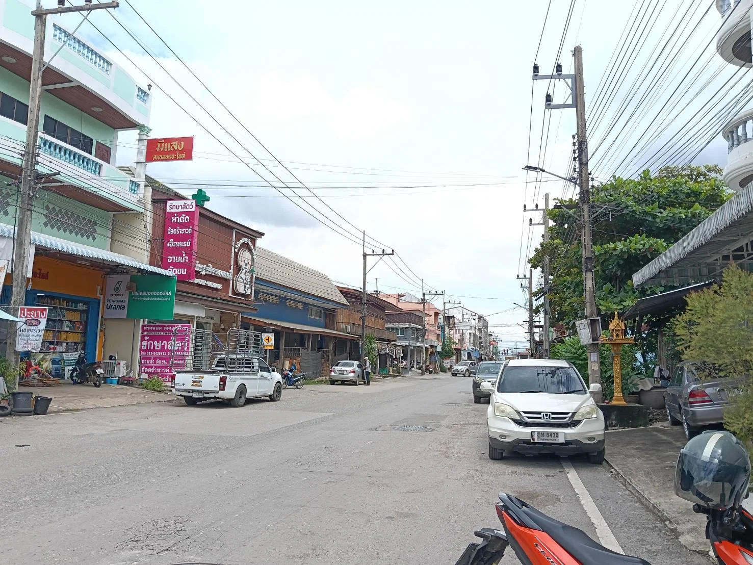 อาคารพาณิชย์ 2 ชั้นครึ่ง (ตีทะลุ) 53.3 ตารางวา  ติดถนนใหญ่ ซับสมอทอด – วังพิกุล จ.เพชรบูรณ์ - image 2