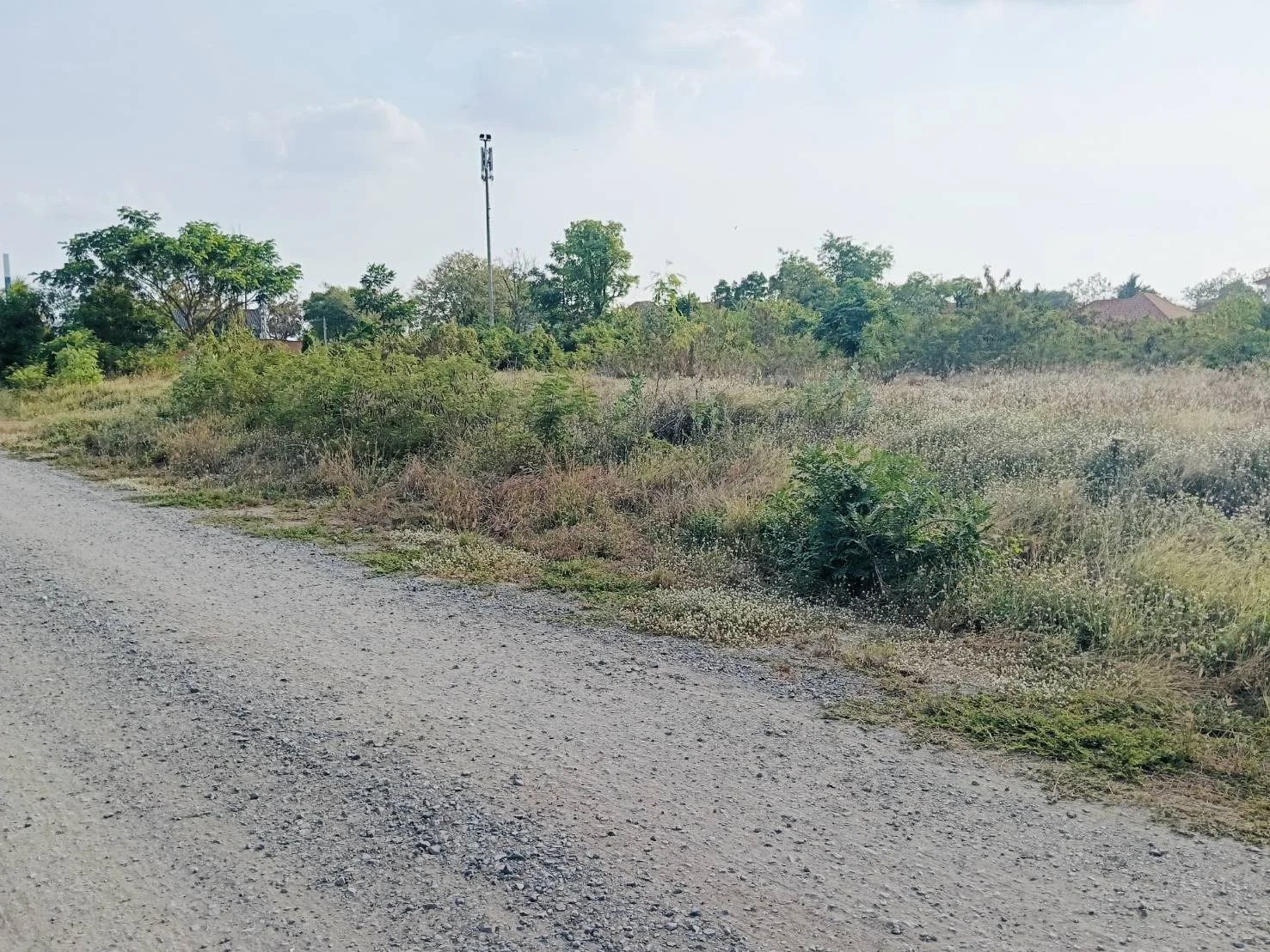  ขายที่ดินเปล่า  เนื้อที่ 2 ไร่ 3 งาน 39 ตร.ว. หลังปั๊ม PTT หนองปลิง – ทำเลทองในอนาคต! - image 5