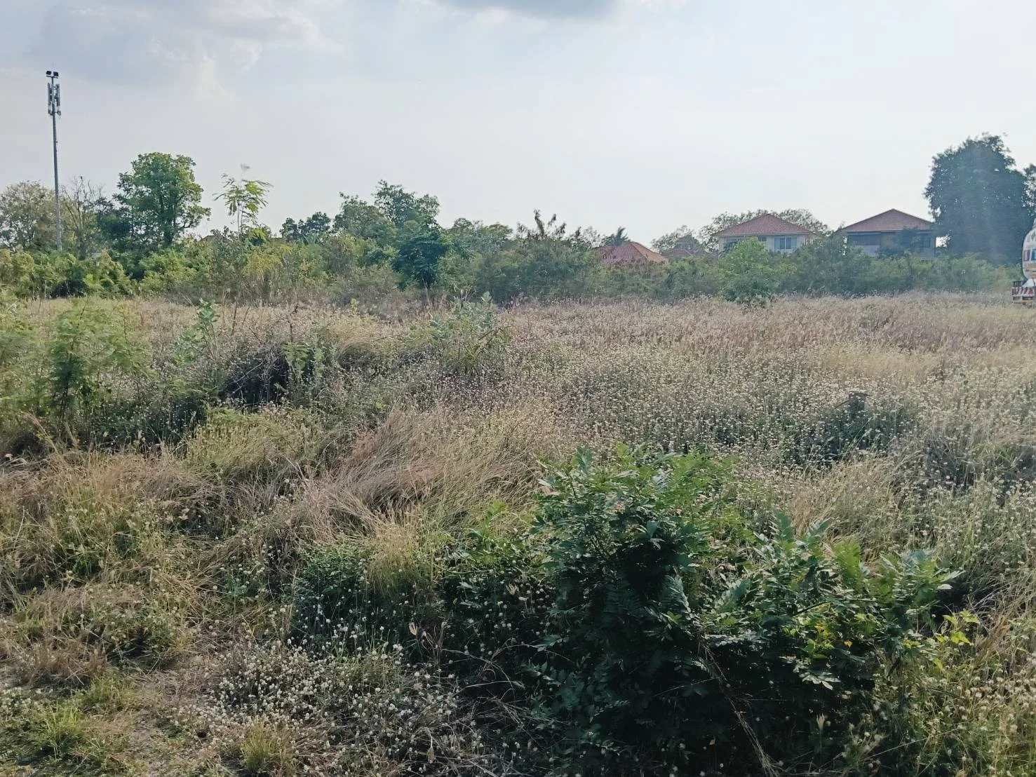 ขายที่ดินเปล่า  เนื้อที่ 2 ไร่ 3 งาน 39 ตร.ว. หลังปั๊ม PTT หนองปลิง – ทำเลทองในอนาคต! - image 6