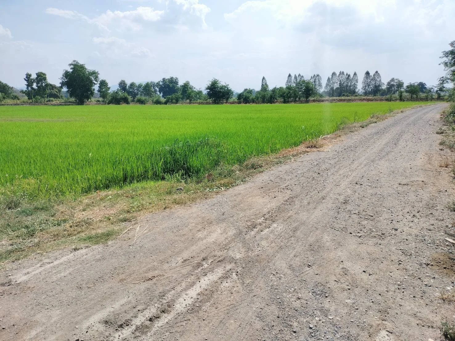 ที่ดินเปล่า ที่ดินเปล่า 15-1-2 ไร่ ติดถนนเลี่ยงเมือง ราคาถูก ต.วัดไทรย์ อ.เมือง จ.นครสวรรค์ - image 6