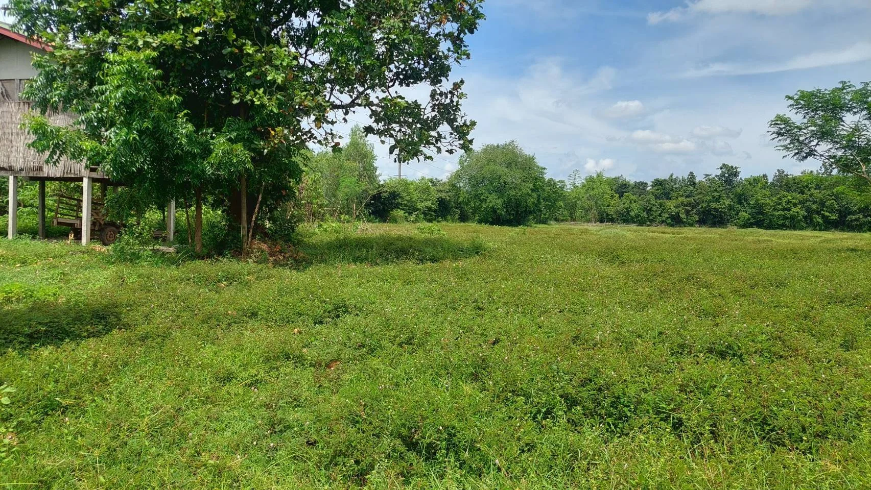 ขายที่ดินสวยติด   ถนนหนองคาย-ท่าบ่อ 32- 3-33 ไร่  ตรงข้าม ปั๊มน้ำมัน PT อ.เมืองจ.หนองคาย - image 6