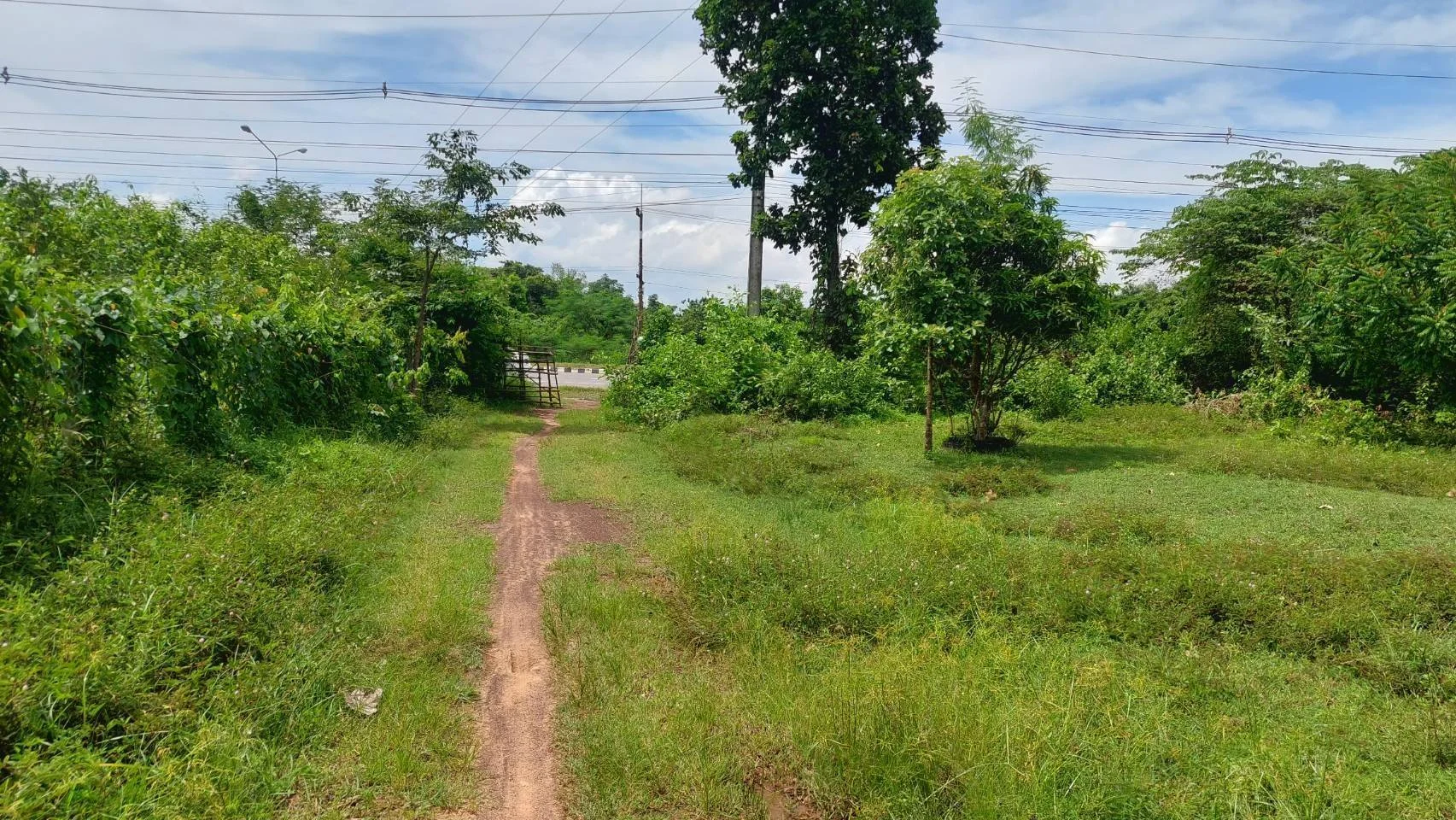 ขายที่ดินสวยติด   ถนนหนองคาย-ท่าบ่อ 32- 3-33 ไร่  ตรงข้าม ปั๊มน้ำมัน PT อ.เมืองจ.หนองคาย - image 7