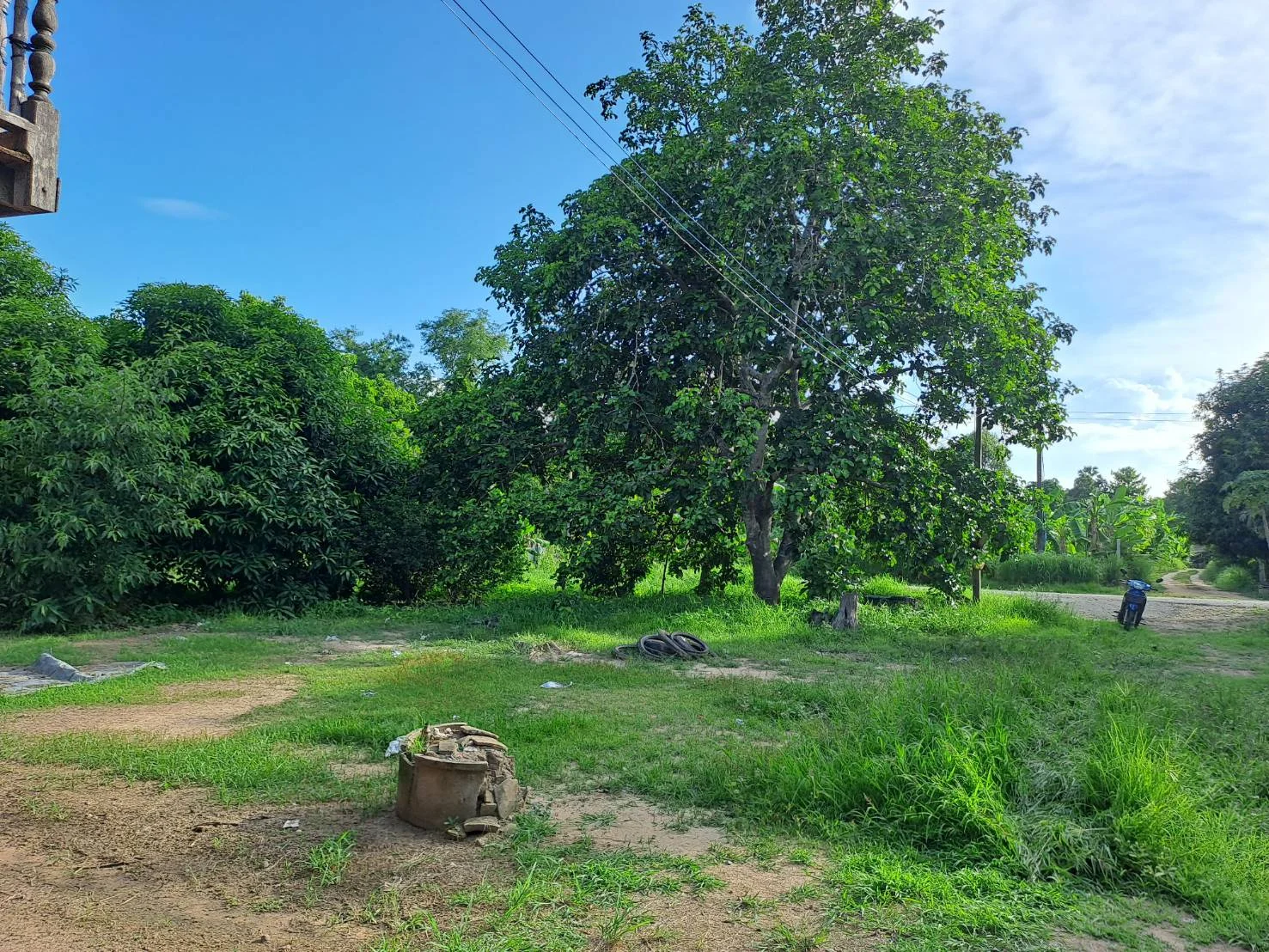 ZNK030 ขายที่ดินเปล่า 21-1-60 ไร่ ต.ย่านมัทรี อ.พยุหะคีรี จ.นครสวรรค์ - image 2