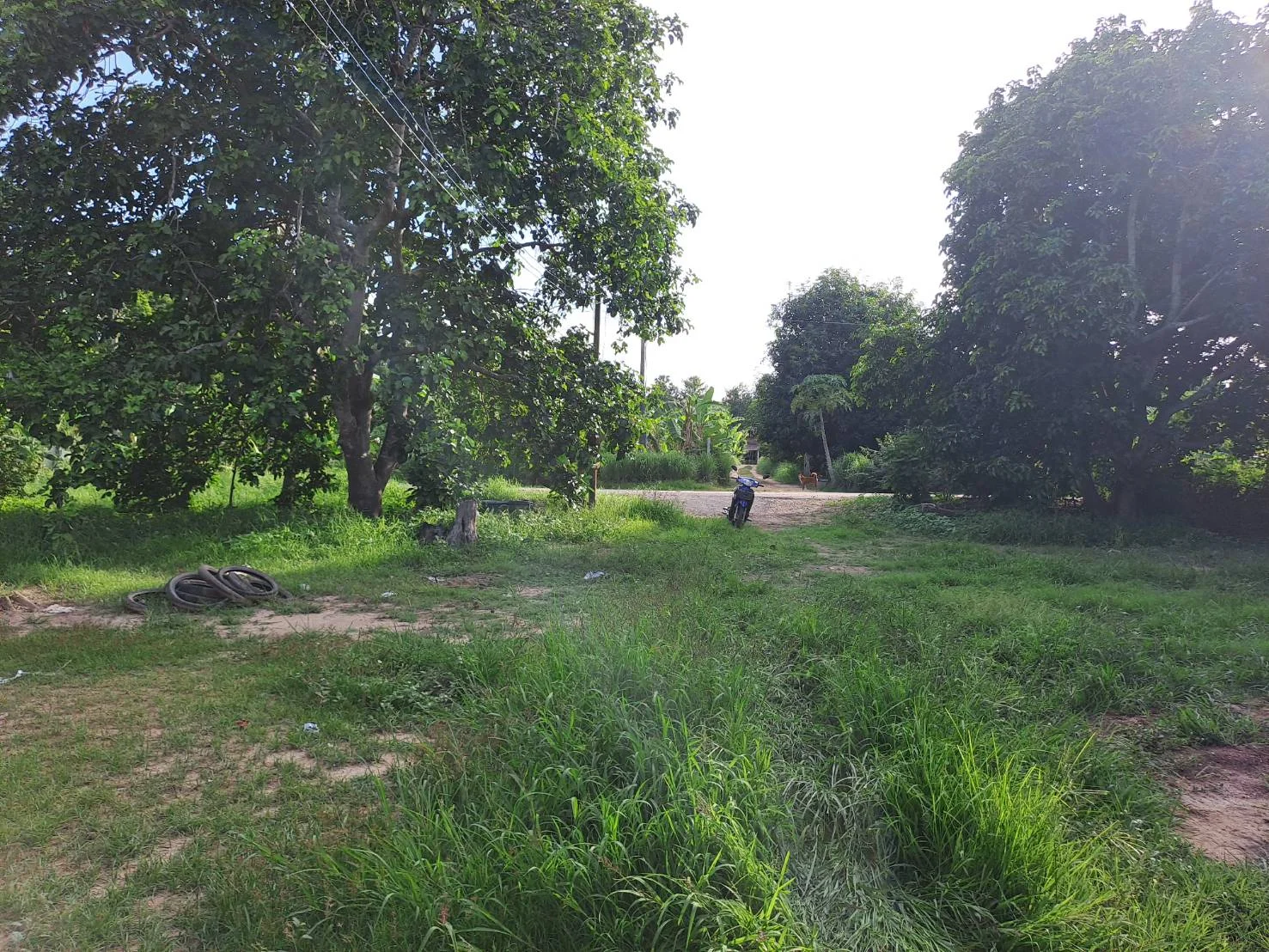 ZNK030 ขายที่ดินเปล่า 21-1-60 ไร่ ต.ย่านมัทรี อ.พยุหะคีรี จ.นครสวรรค์ - image 3