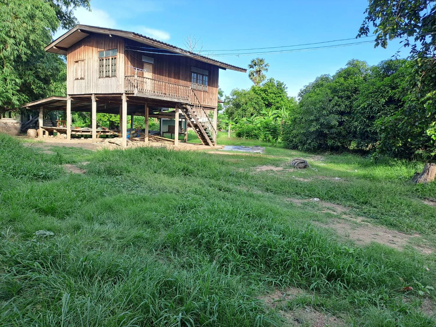 ZNK030 ขายที่ดินเปล่า 21-1-60 ไร่ ต.ย่านมัทรี อ.พยุหะคีรี จ.นครสวรรค์ - image 4