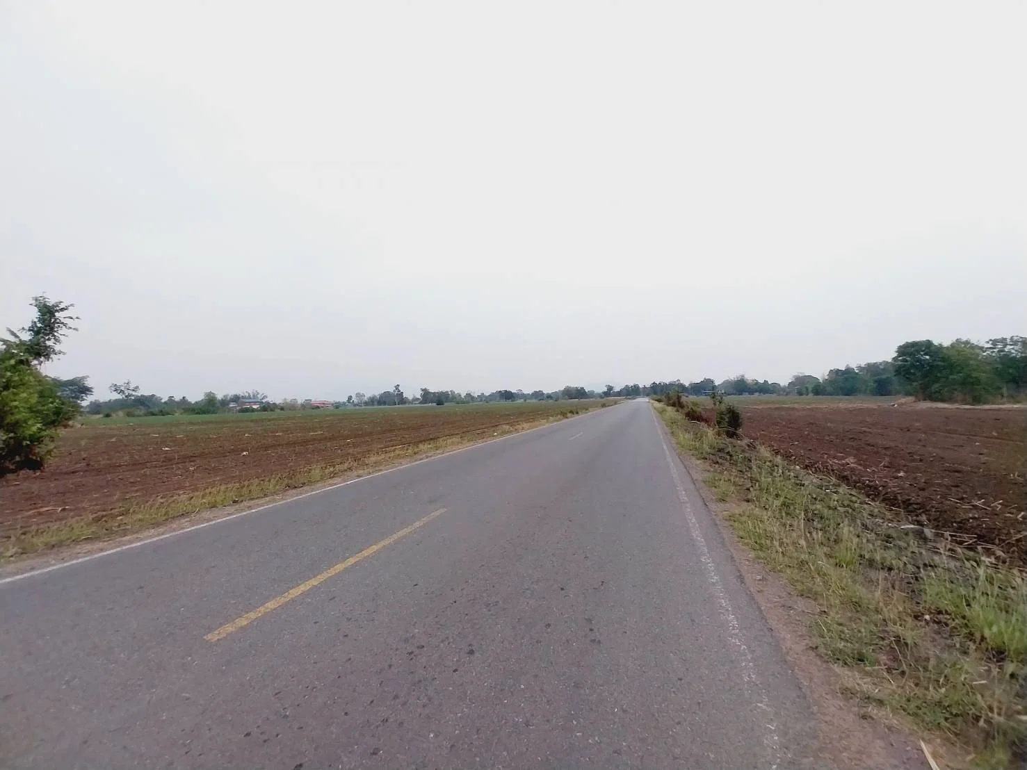 ZNK031 ขายที่ดินเปล่า 42-3-11 ไร่ พื้นที่สีเขียว ติดถนนลาดยาง 2 ฝั่ง ต.นิคมเขาบ่อแก้ว อ.พยุหะคีรี จ.นครสวรรค์ - image 3