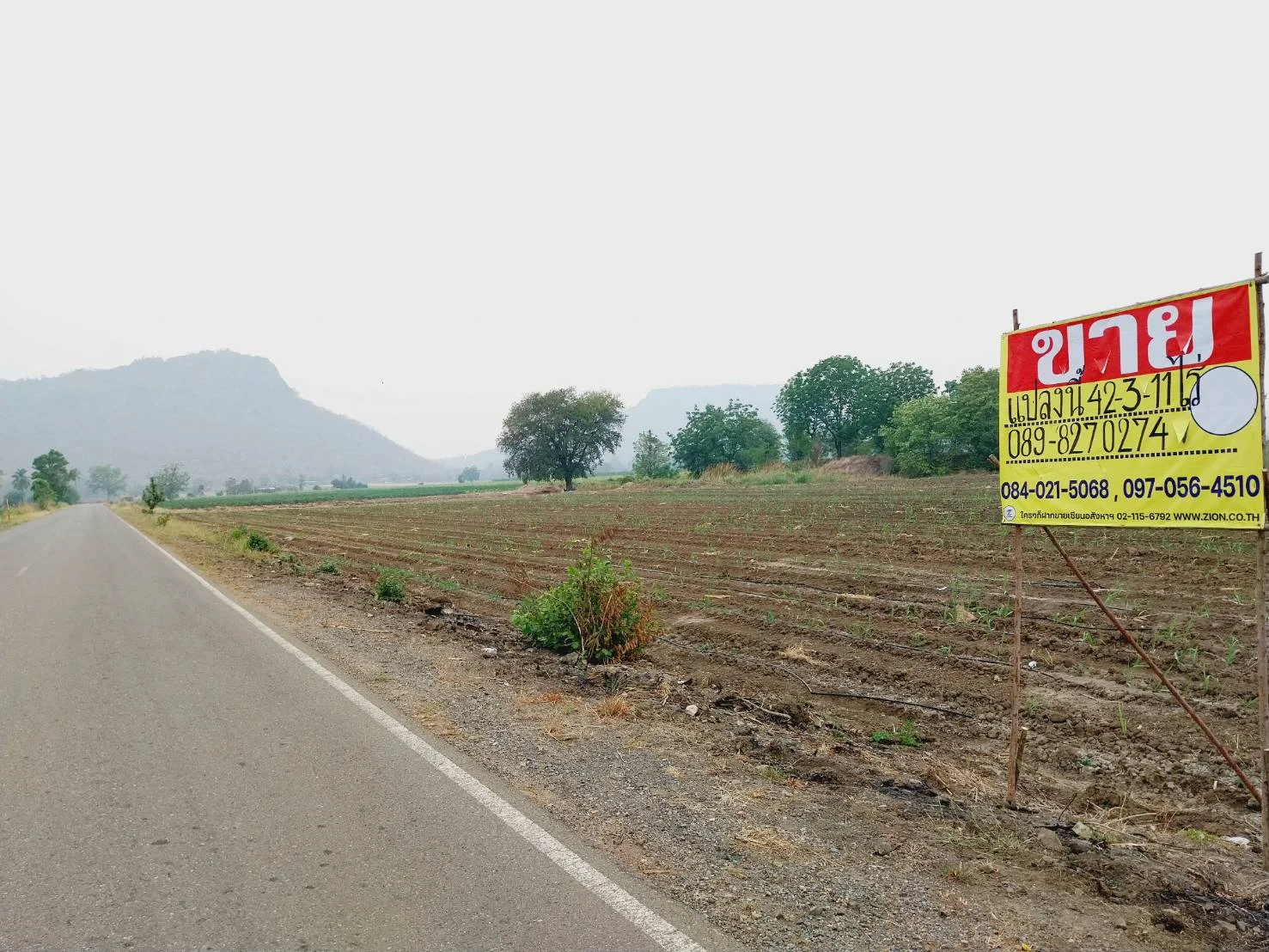 ZNK031 ขายที่ดินเปล่า 42-3-11 ไร่ พื้นที่สีเขียว ติดถนนลาดยาง 2 ฝั่ง ต.นิคมเขาบ่อแก้ว อ.พยุหะคีรี จ.นครสวรรค์ - image 5