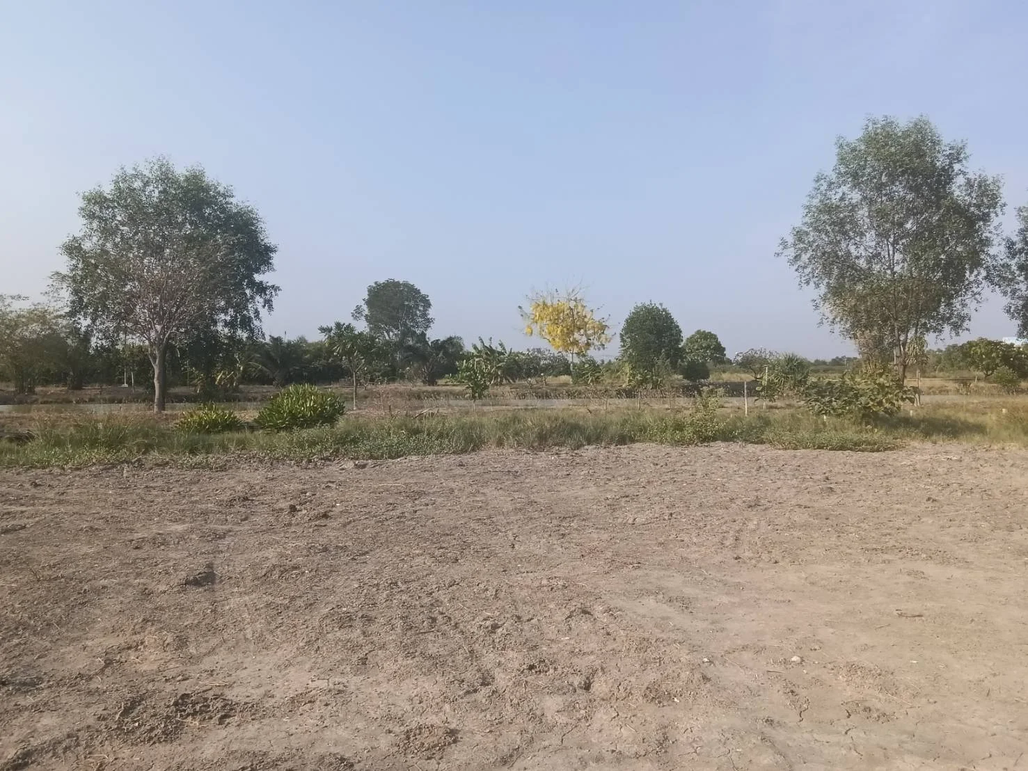 ที่ดินสวยทำเลดี  200 ตารางวา  ใกล้พระราม 2 ฝั่งลงใต้   - image 3