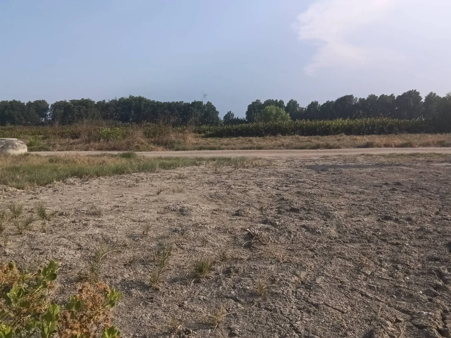 ที่ดินสวยทำเลดี  200 ตารางวา  ใกล้พระราม 2 ฝั่งลงใต้   - image 4