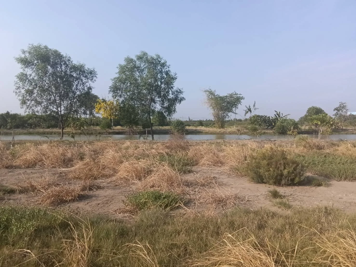 ที่ดินสวยทำเลดี  200 ตารางวา  ใกล้พระราม 2 ฝั่งลงใต้   - image 5