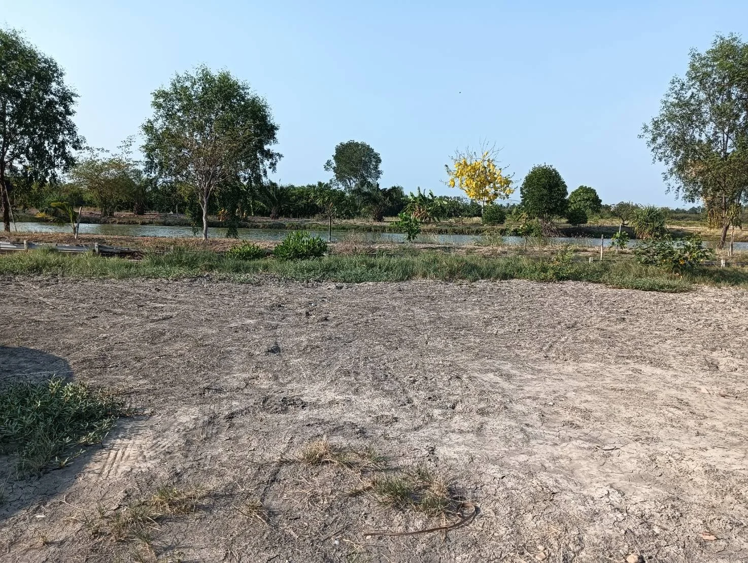 ที่ดินสวยทำเลดี  200 ตารางวา  ใกล้พระราม 2 ฝั่งลงใต้   - image 7