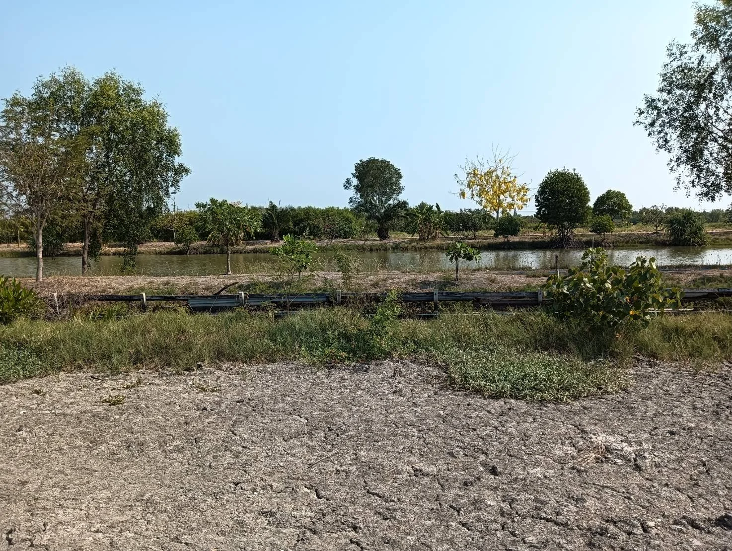 ที่ดินสวยทำเลดี  200 ตารางวา  ใกล้พระราม 2 ฝั่งลงใต้   - image 8