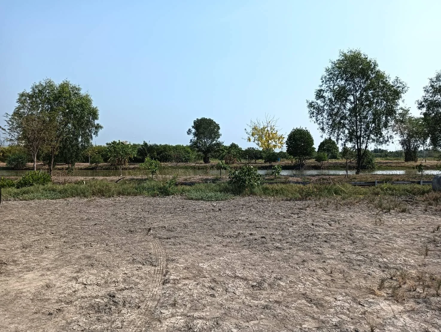 ที่ดินสวยทำเลดี  200 ตารางวา  ใกล้พระราม 2 ฝั่งลงใต้   - image 9