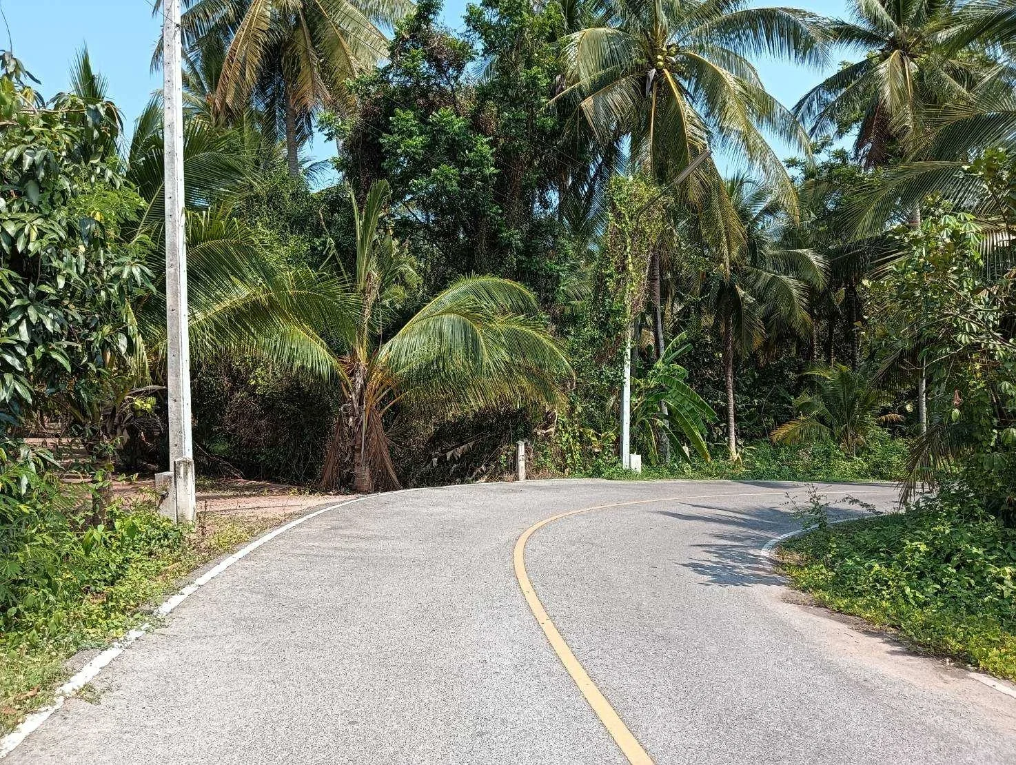 ZSK017 ขายที่ดินสวย วิวธรรมชาติ ปลูกบ้าน ทำสวน - image 3