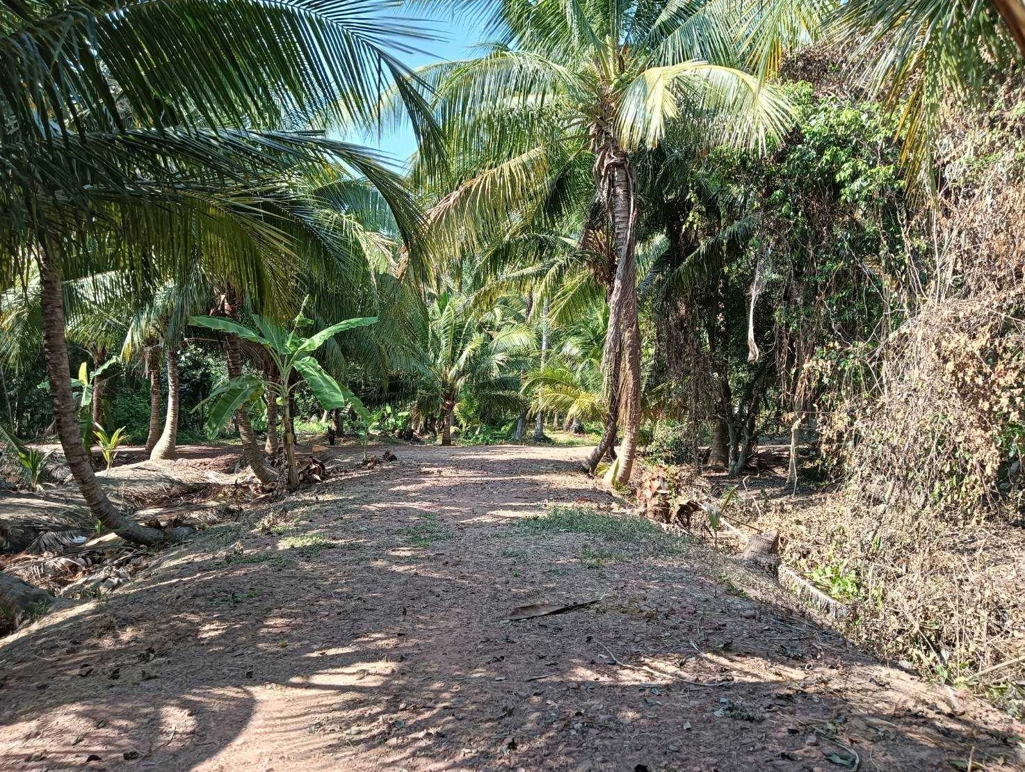 ZSK017 ขายที่ดินสวย วิวธรรมชาติ ปลูกบ้าน ทำสวน - image 8