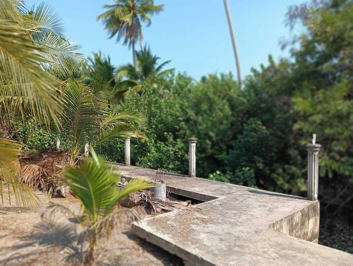 ZSK017 ขายที่ดินสวย วิวธรรมชาติ ปลูกบ้าน ทำสวน - image 10