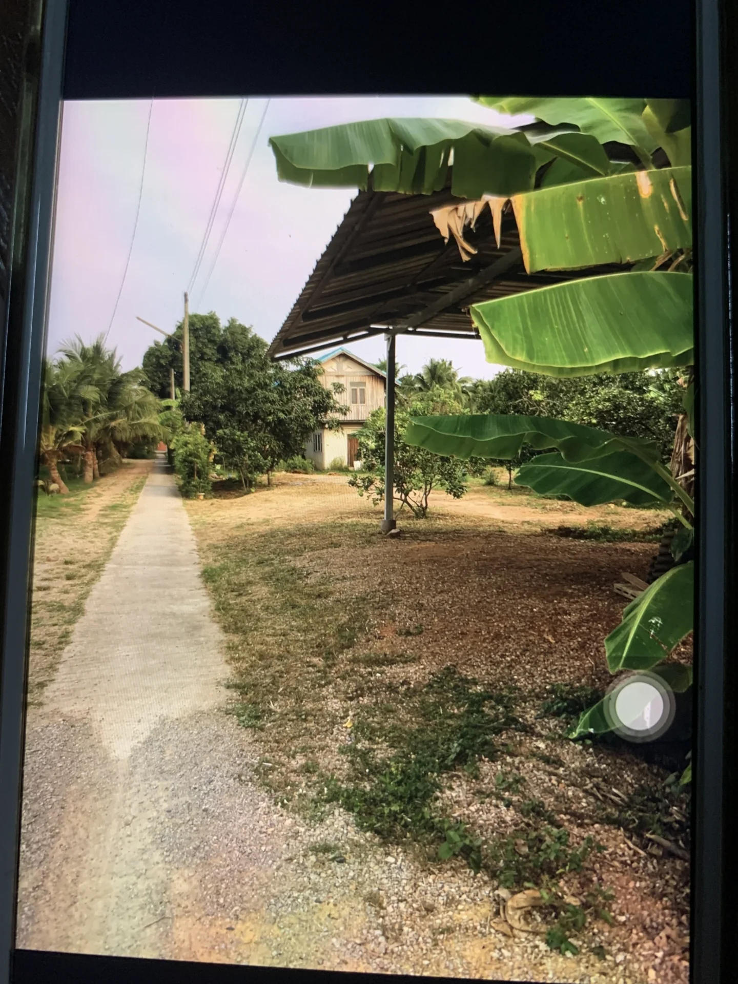 ZSK018 ขายที่ดินพร้อมบ้าน อำเภออัมพวา บรรยากาศธรรมชาติ - image 5