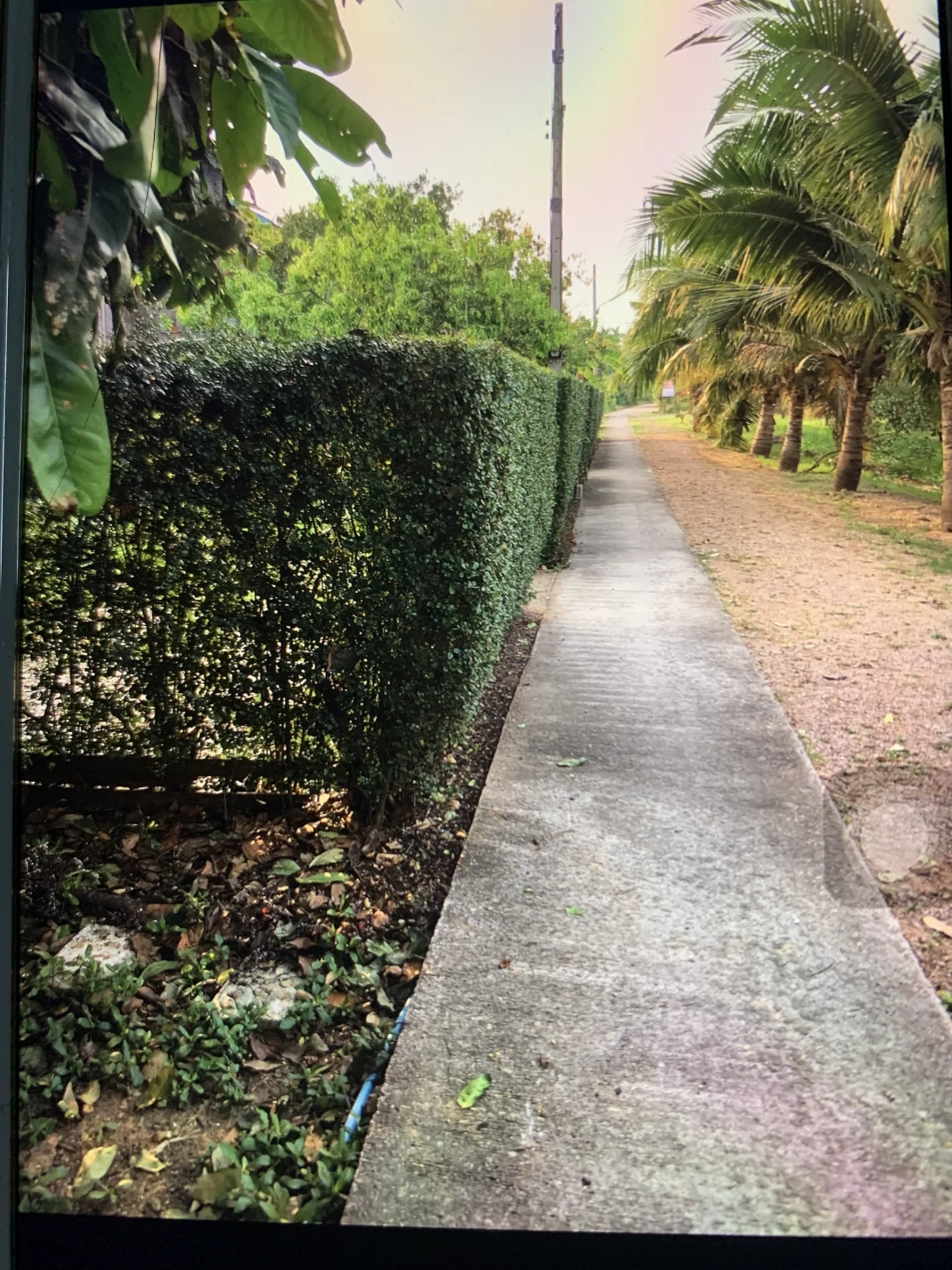 ZSK018 ขายที่ดินพร้อมบ้าน อำเภออัมพวา บรรยากาศธรรมชาติ - image 6