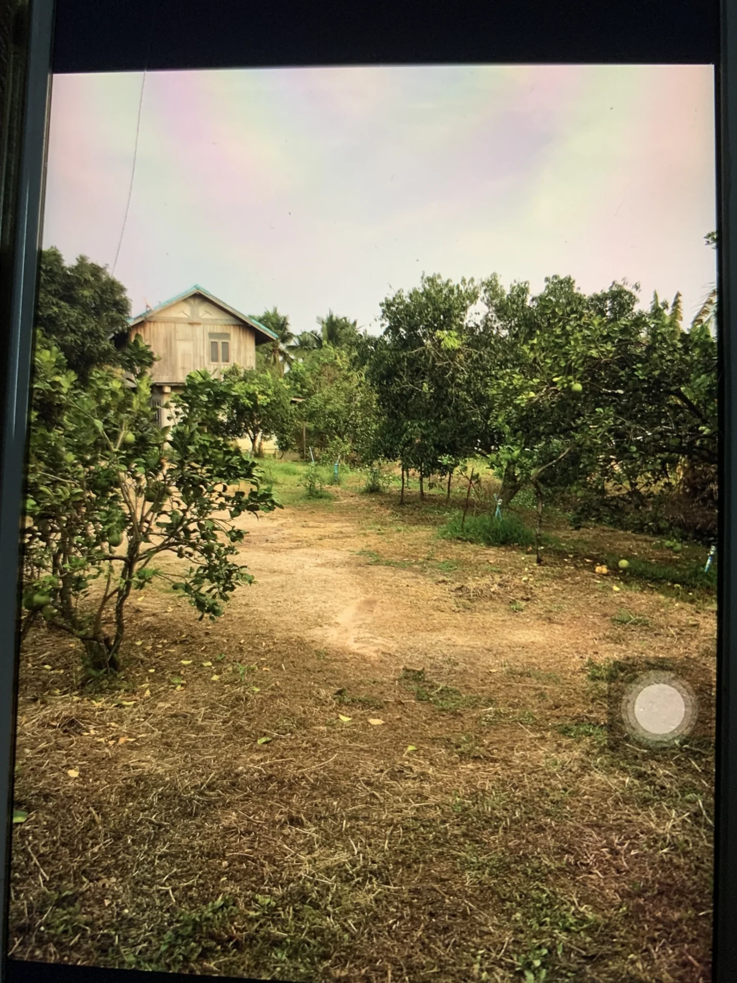 ZSK018 ขายที่ดินพร้อมบ้าน อำเภออัมพวา บรรยากาศธรรมชาติ - image 7