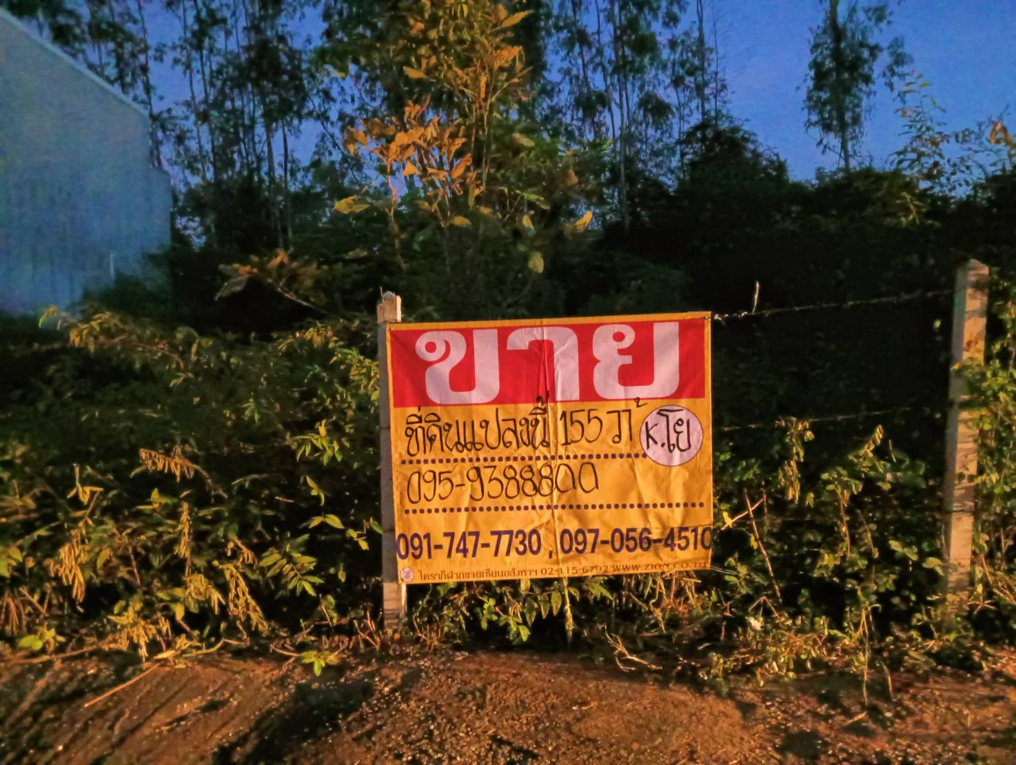 ZSK020 ขายที่ดินโซนหัวหิน 155 ตร.ว.  - image 2