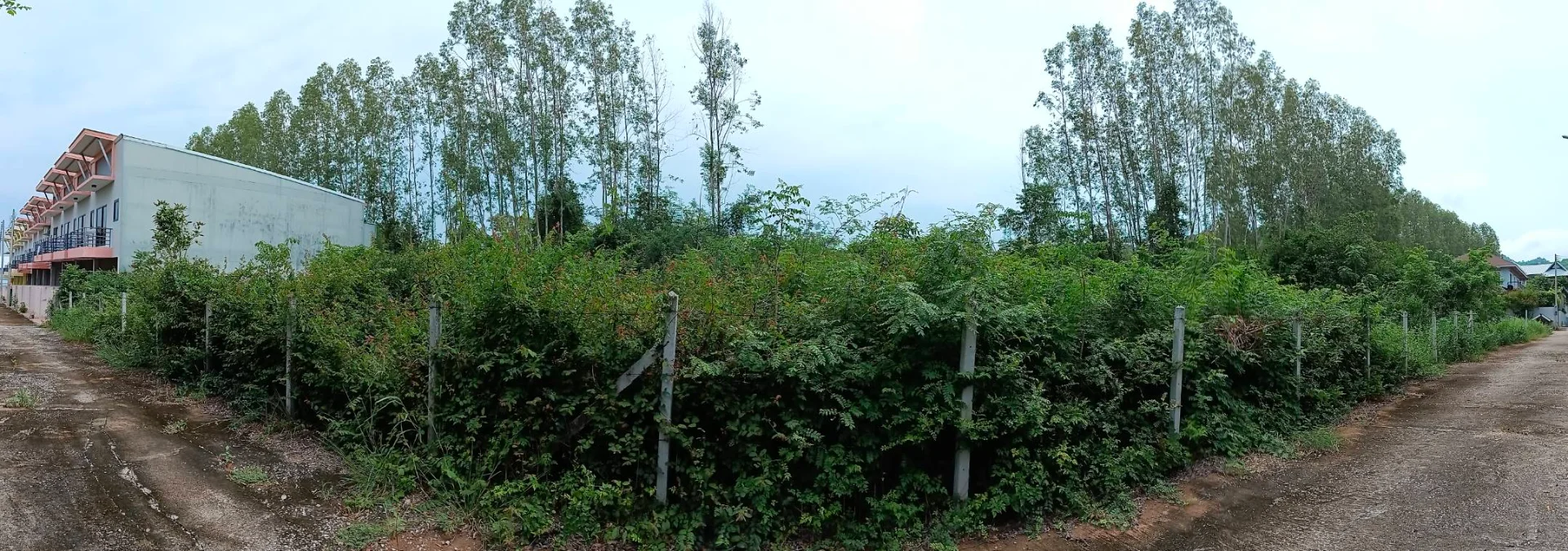 ZSK020 ขายที่ดินโซนหัวหิน 155 ตร.ว.  - image 3