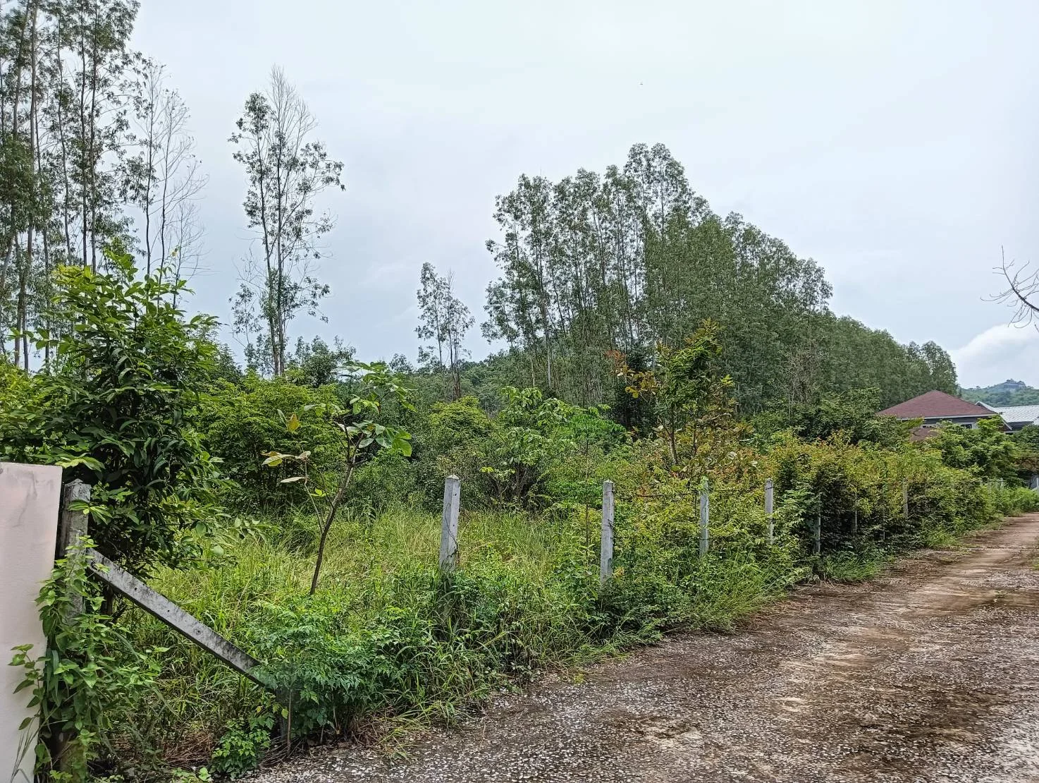 ZSK020 ขายที่ดินโซนหัวหิน 155 ตร.ว.  - image 4