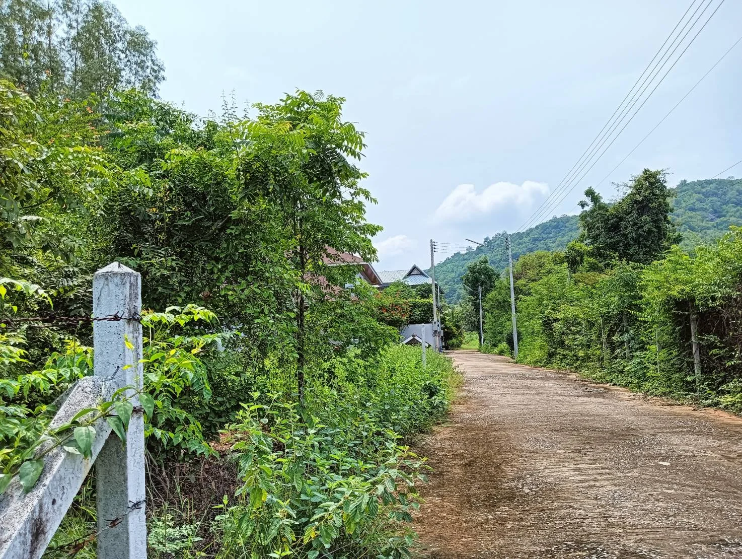 ZSK020 ขายที่ดินโซนหัวหิน 155 ตร.ว.  - image 8