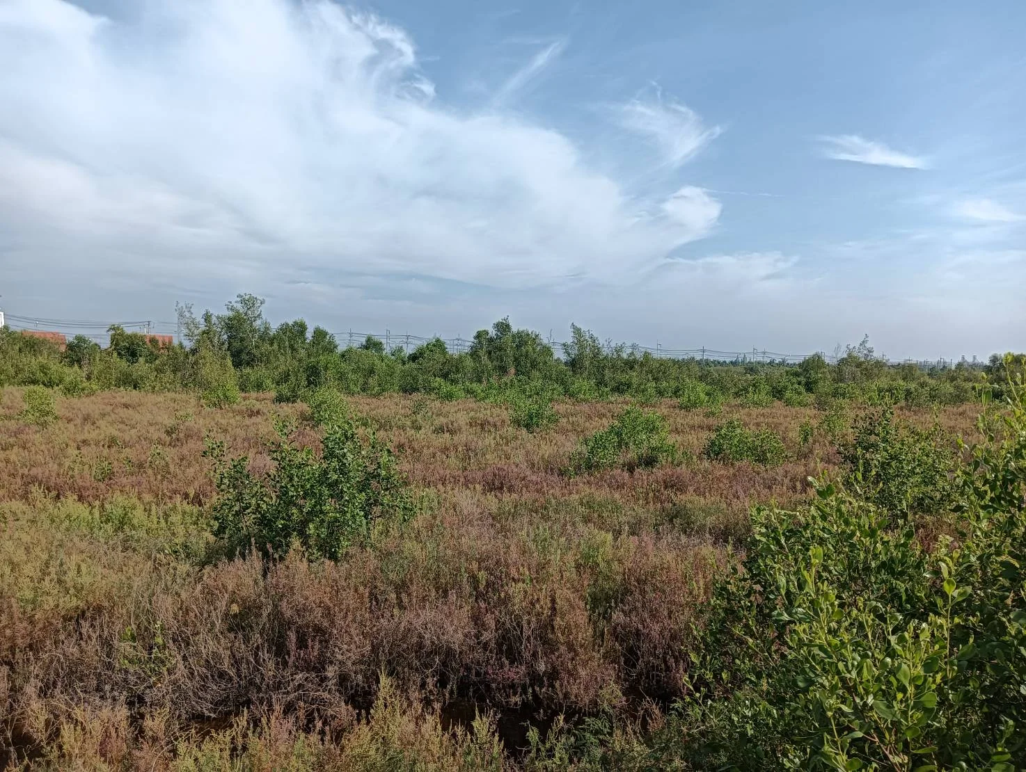 ZSK021 ที่ดินแบ่งขาย ใกล้จุดพักคลองโคน 3-0-60 ไร่ - image 5