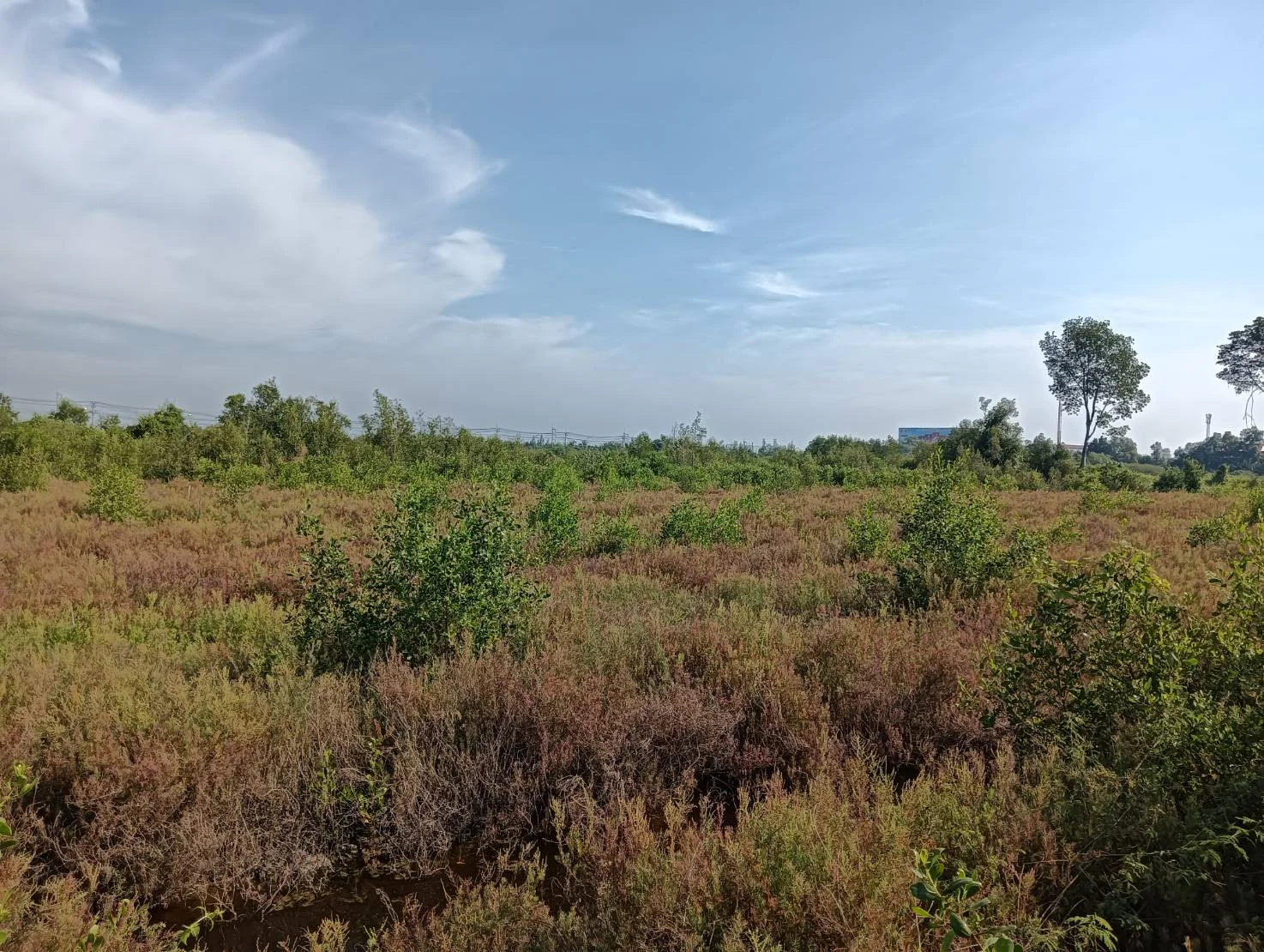 ZSK021 ที่ดินแบ่งขาย ใกล้จุดพักคลองโคน 3-0-60 ไร่ - image 6