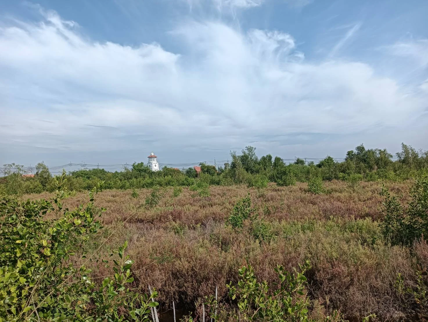 ZSK021 ที่ดินแบ่งขาย ใกล้จุดพักคลองโคน 3-0-60 ไร่ - image 7