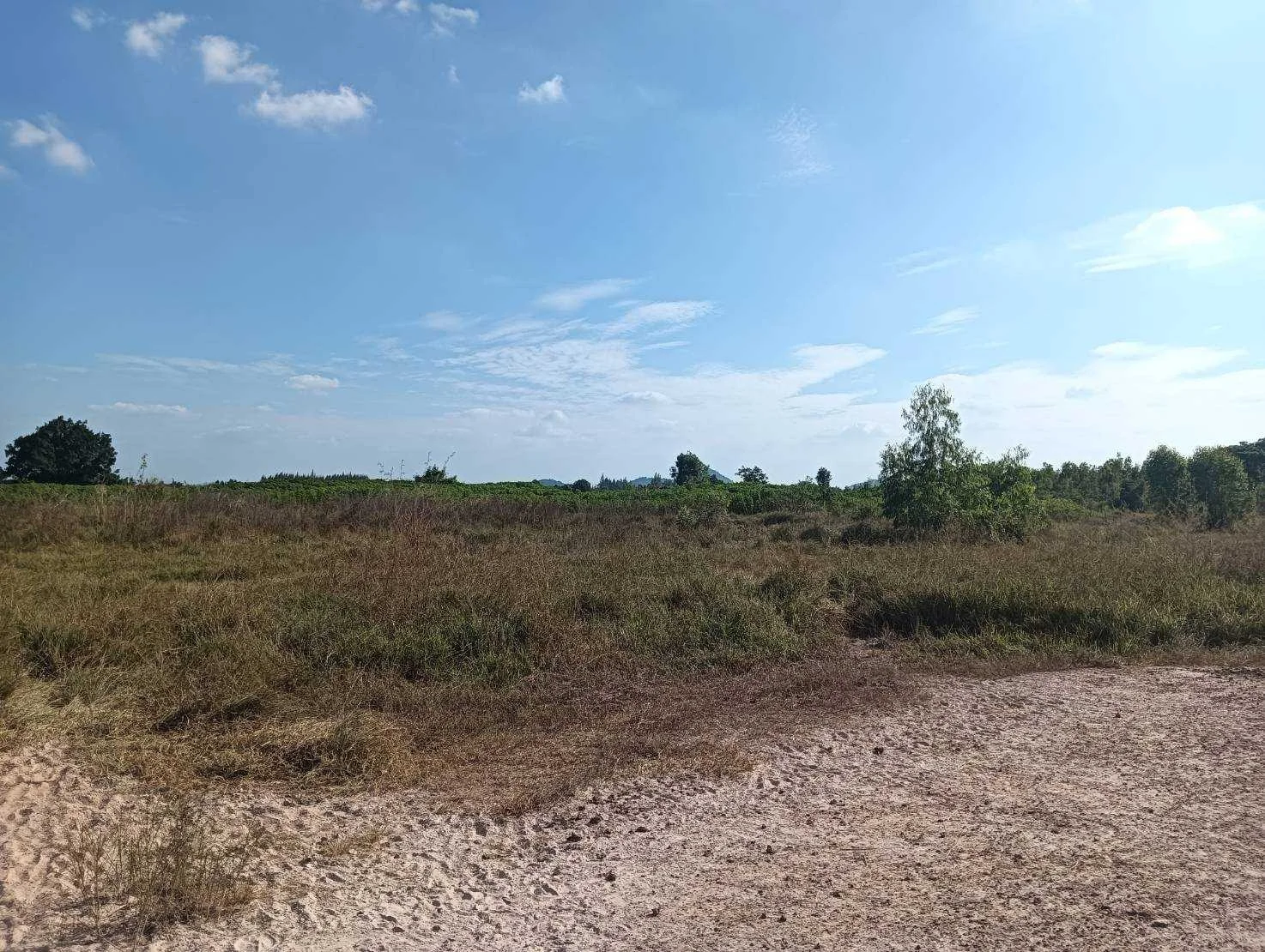 ZSK022 ขายที่ดิน วิวภูเขา 20-3-16 ไร่ - image 4