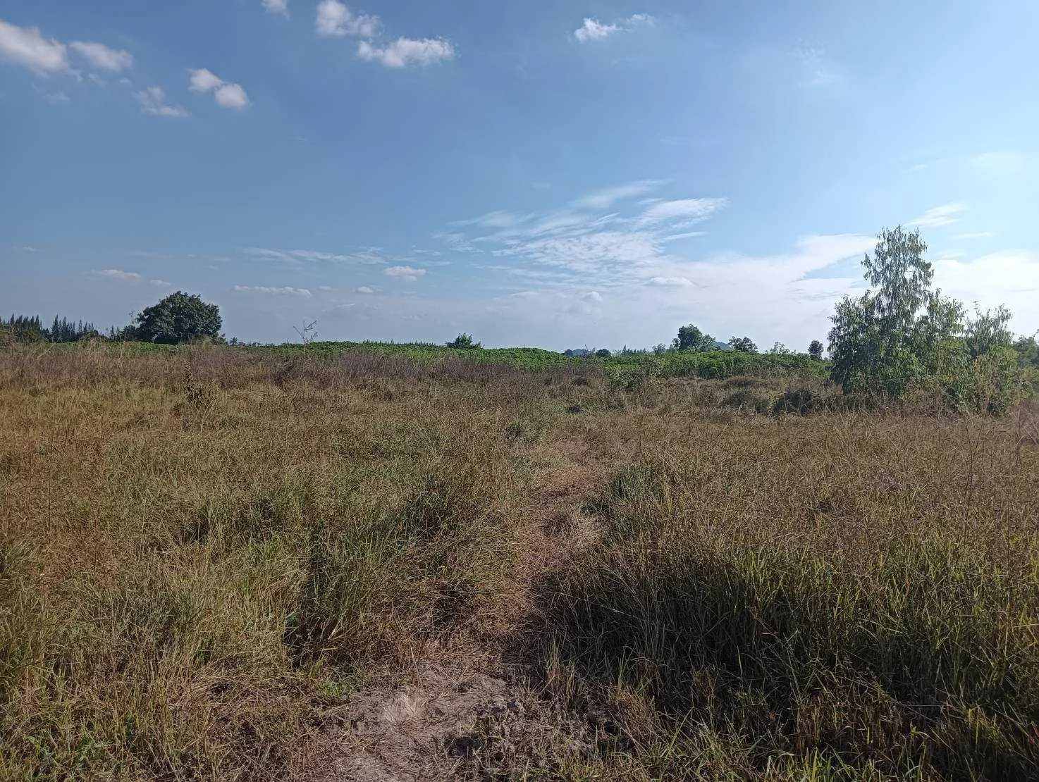 ZSK022 ขายที่ดิน วิวภูเขา 20-3-16 ไร่ - image 6