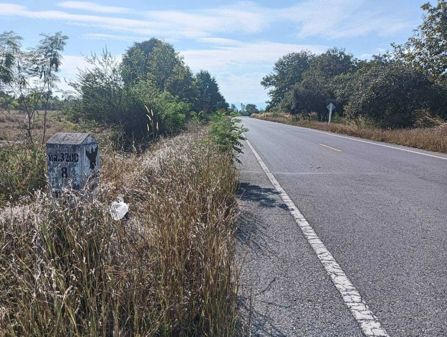 ZSK022 ขายที่ดิน วิวภูเขา 20-3-16 ไร่ - image 8