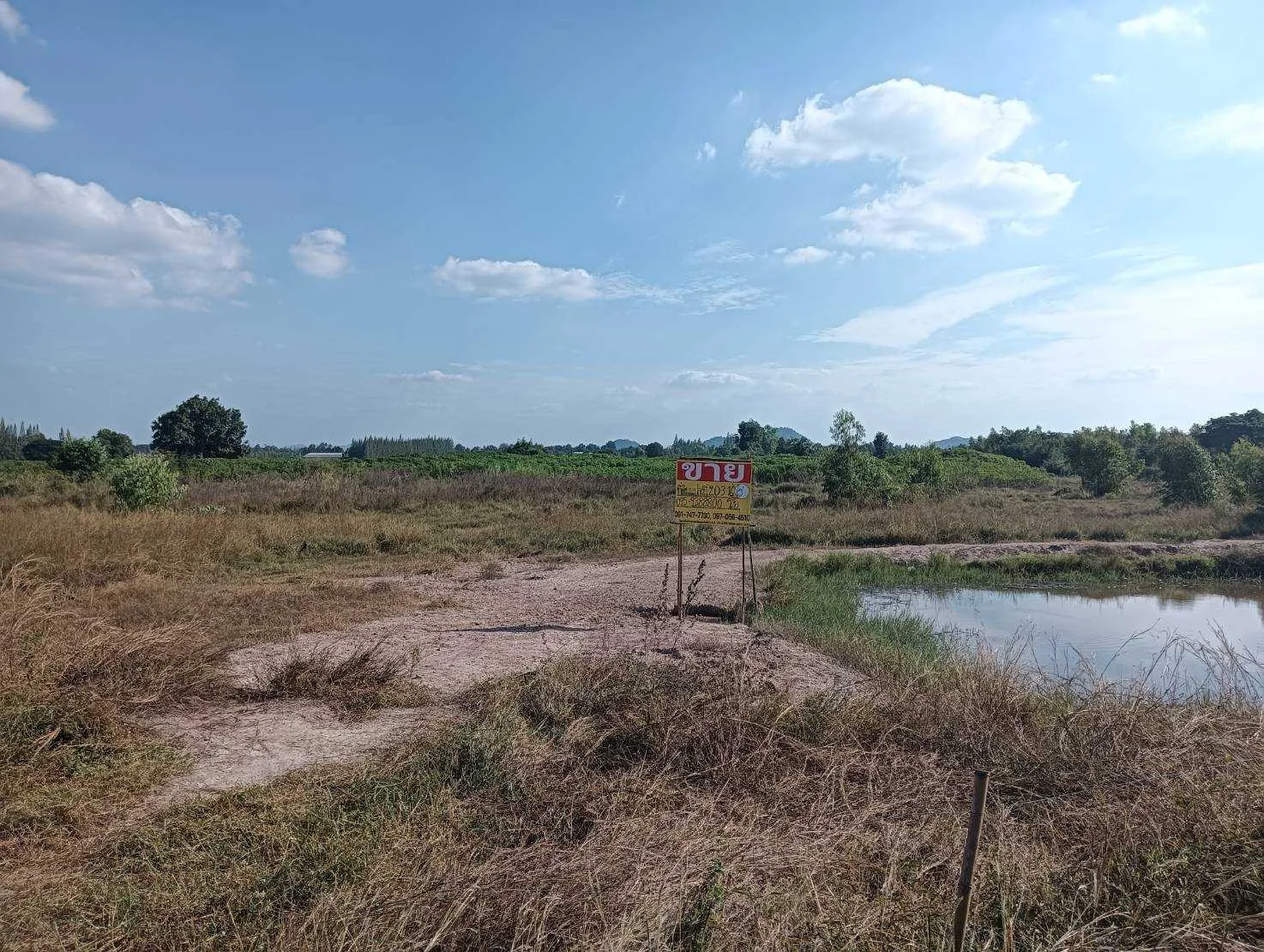 ZSK022 ขายที่ดิน วิวภูเขา 20-3-16 ไร่ - image 9