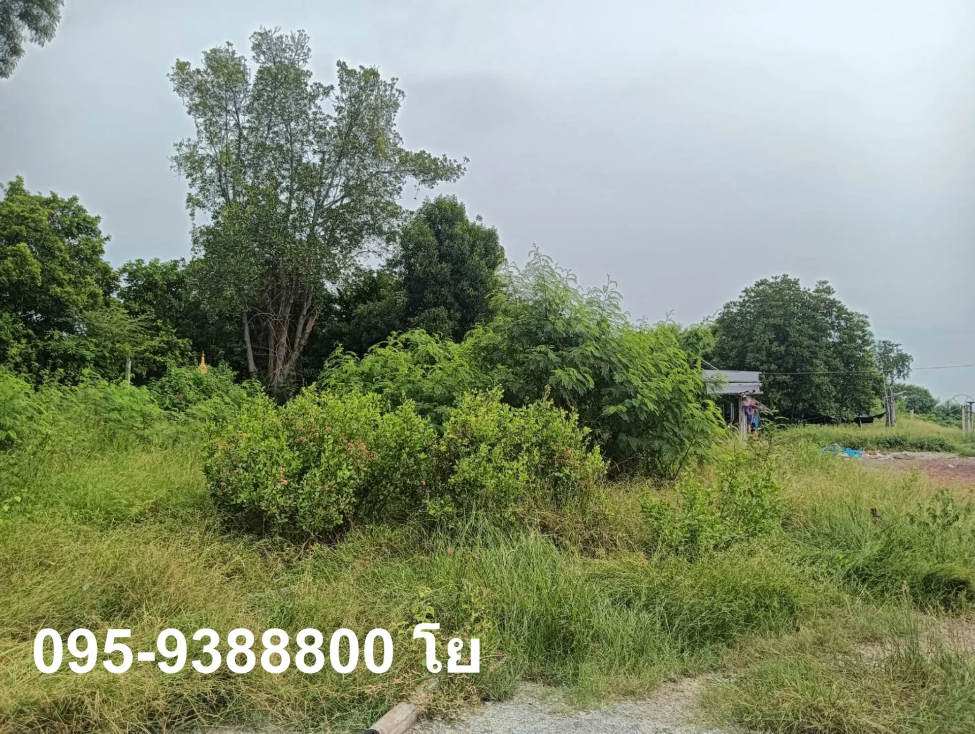 ZSK023 ขายที่ดินพร้อมบ่อเลี้ยงสัตว์น้ำ พร้อมใช้งาน