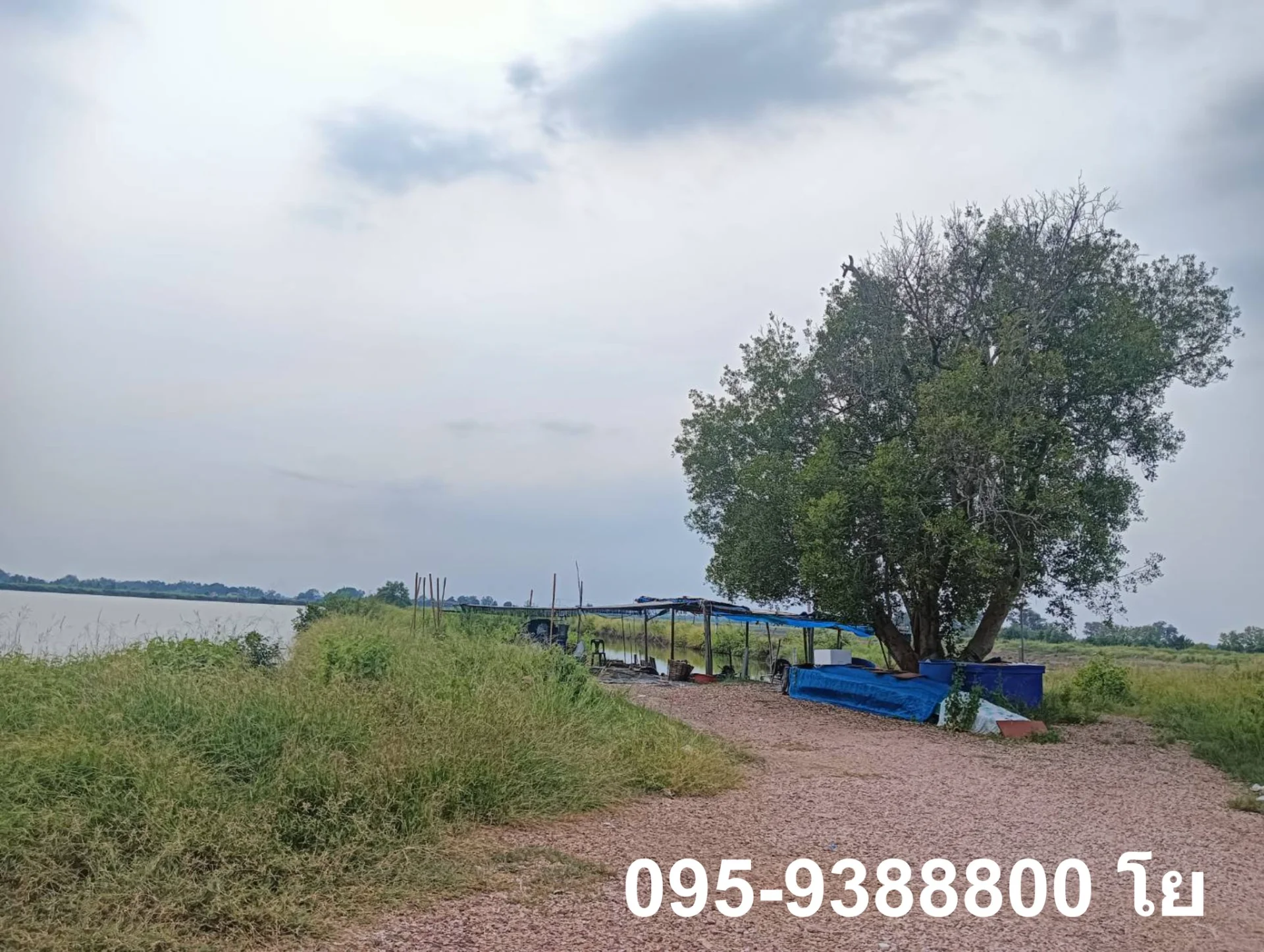 ZSK023 ขายที่ดินพร้อมบ่อเลี้ยงสัตว์น้ำ พร้อมใช้งาน - image 2