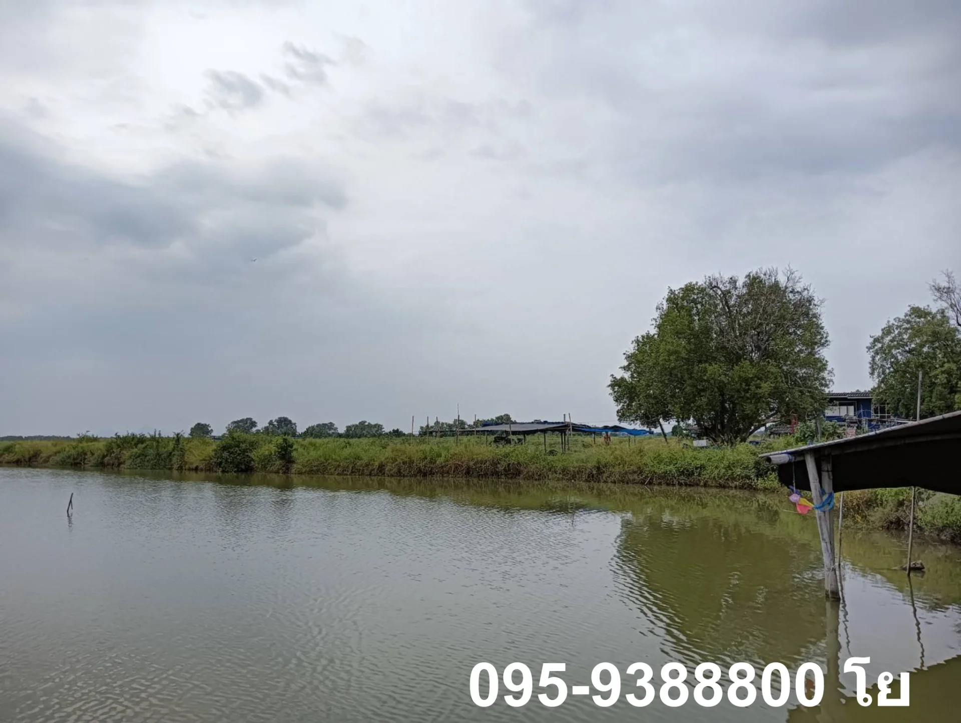 ZSK023 ขายที่ดินพร้อมบ่อเลี้ยงสัตว์น้ำ พร้อมใช้งาน - image 3