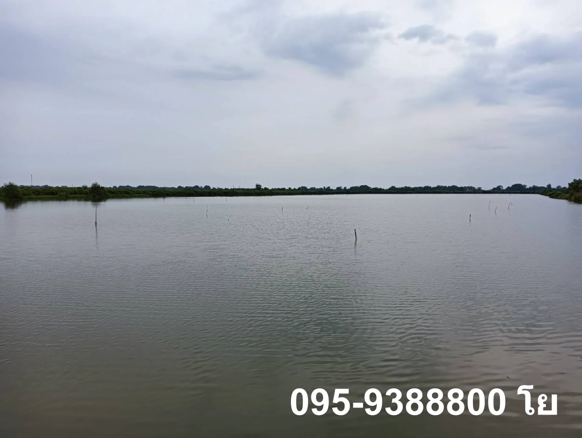 ZSK023 ขายที่ดินพร้อมบ่อเลี้ยงสัตว์น้ำ พร้อมใช้งาน - image 4