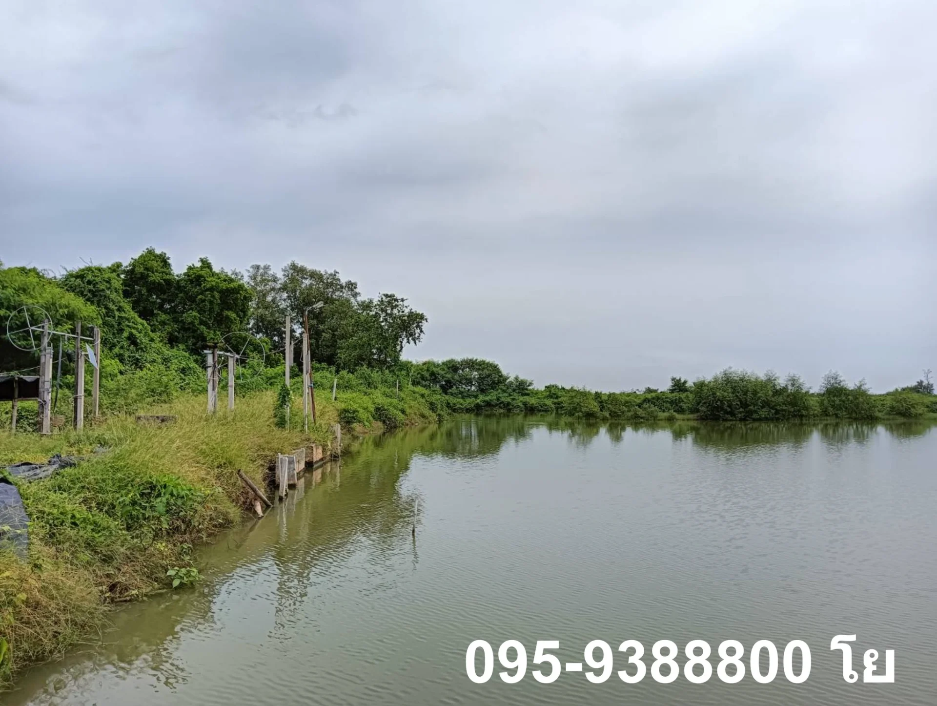 ZSK023 ขายที่ดินพร้อมบ่อเลี้ยงสัตว์น้ำ พร้อมใช้งาน - image 5