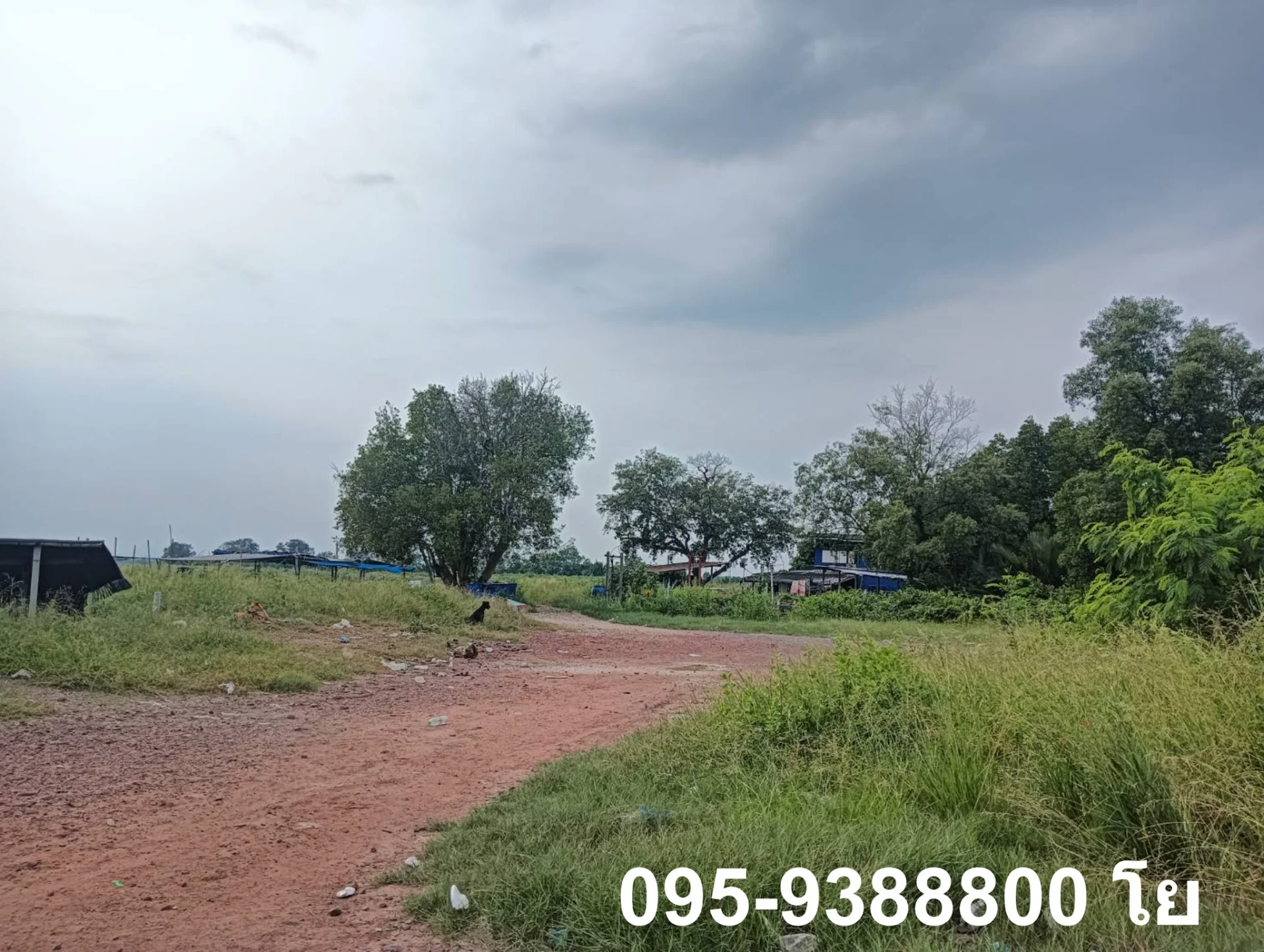 ZSK023 ขายที่ดินพร้อมบ่อเลี้ยงสัตว์น้ำ พร้อมใช้งาน - image 6