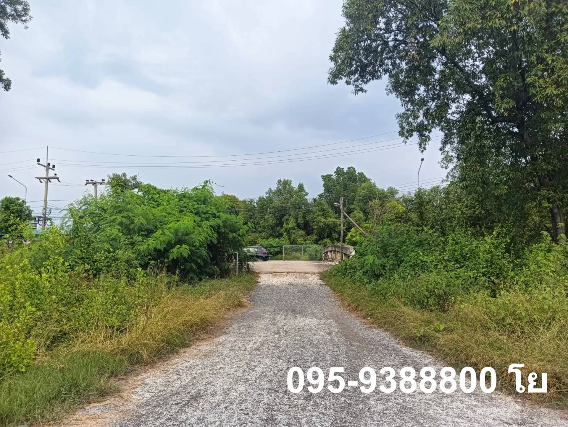 ZSK023 ขายที่ดินพร้อมบ่อเลี้ยงสัตว์น้ำ พร้อมใช้งาน - image 7