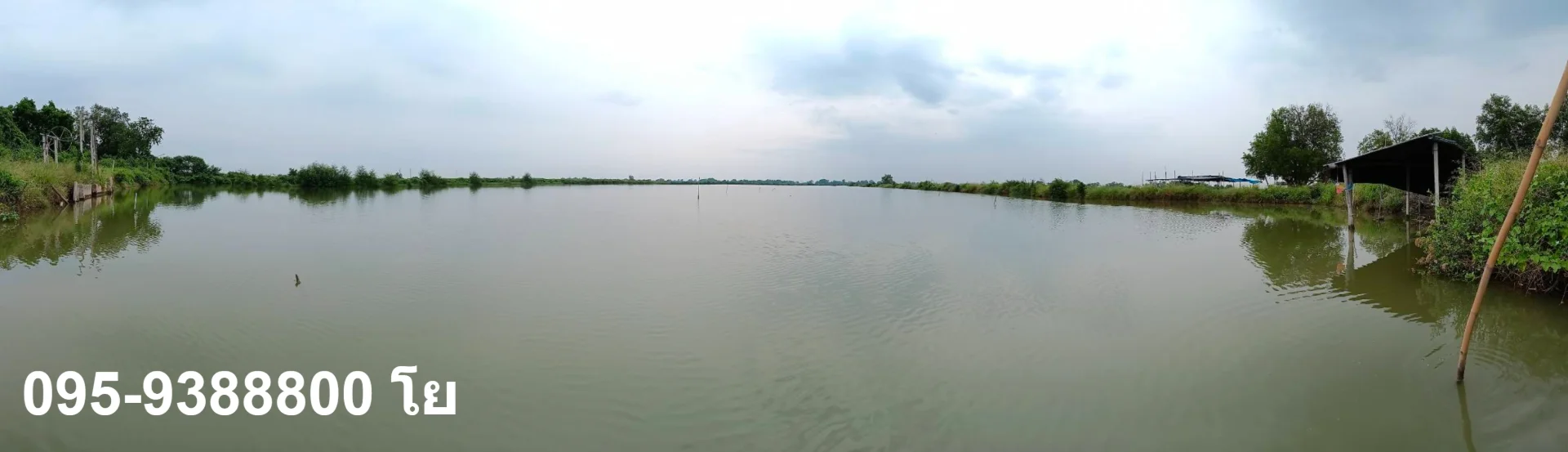 ZSK023 ขายที่ดินพร้อมบ่อเลี้ยงสัตว์น้ำ พร้อมใช้งาน - image 8