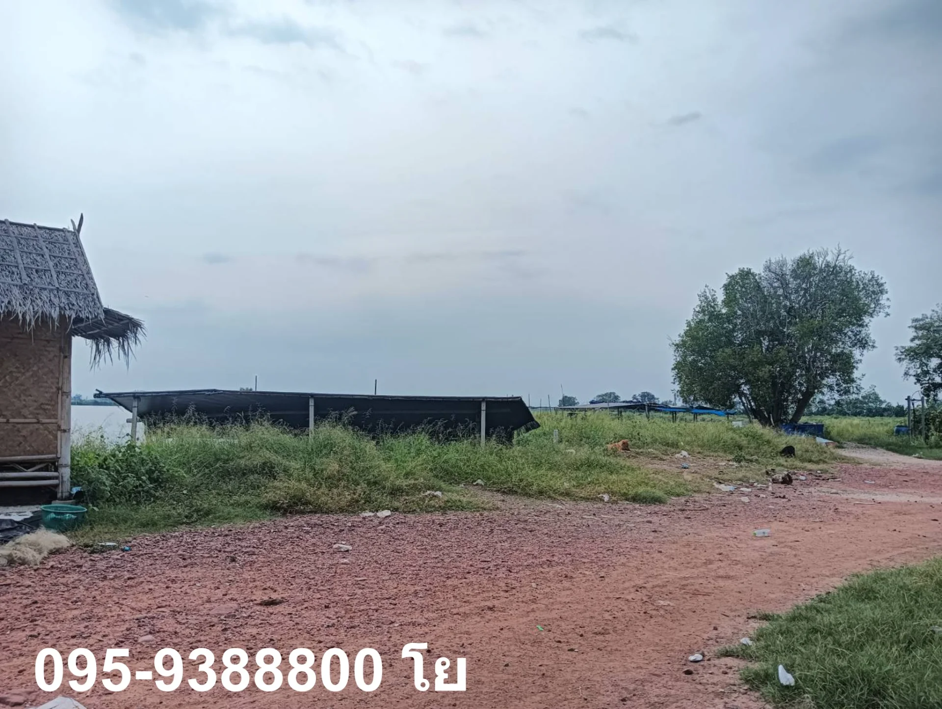 ZSK023 ขายที่ดินพร้อมบ่อเลี้ยงสัตว์น้ำ พร้อมใช้งาน - image 10